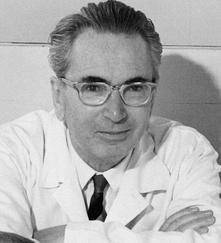 Photo de Viktor Frankl